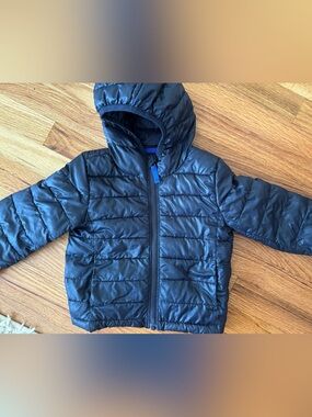 Primary Navy Quilted Puffer Jacket with Hood